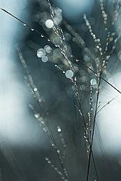 闯关型派对游戏《异星狂奔》Steam页面 年内发售